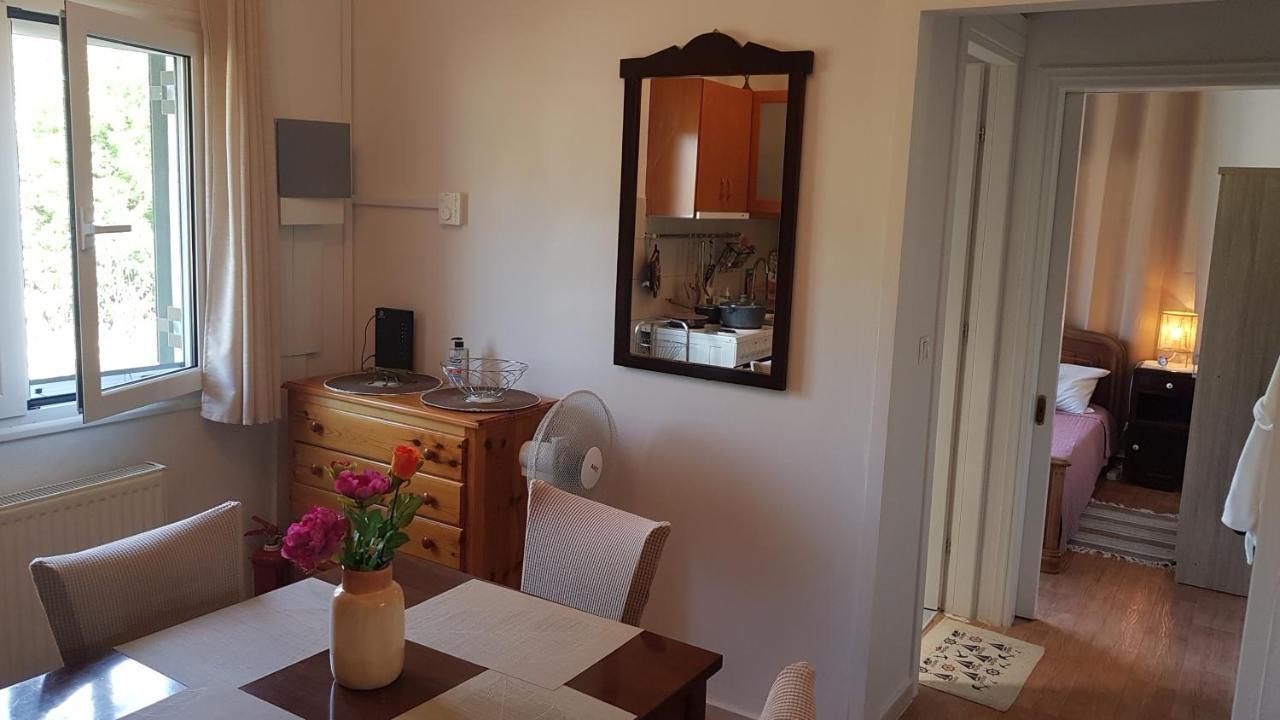 Olga'S Cozy Nest , Apartment In Ano Korakiana. Номер фото