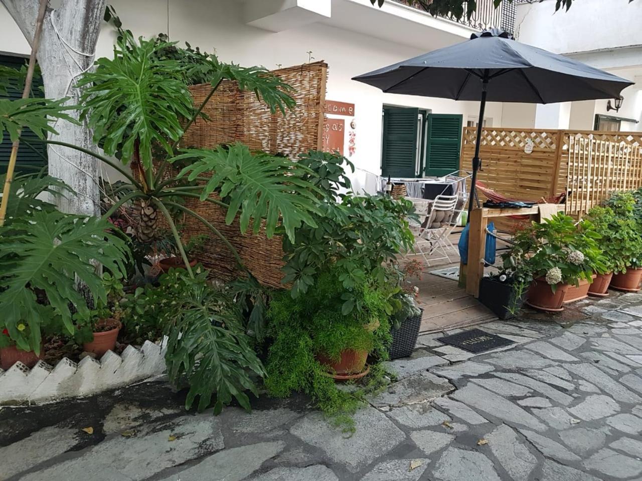 Olga'S Cozy Nest , Apartment In Ano Korakiana. Екстер'єр фото