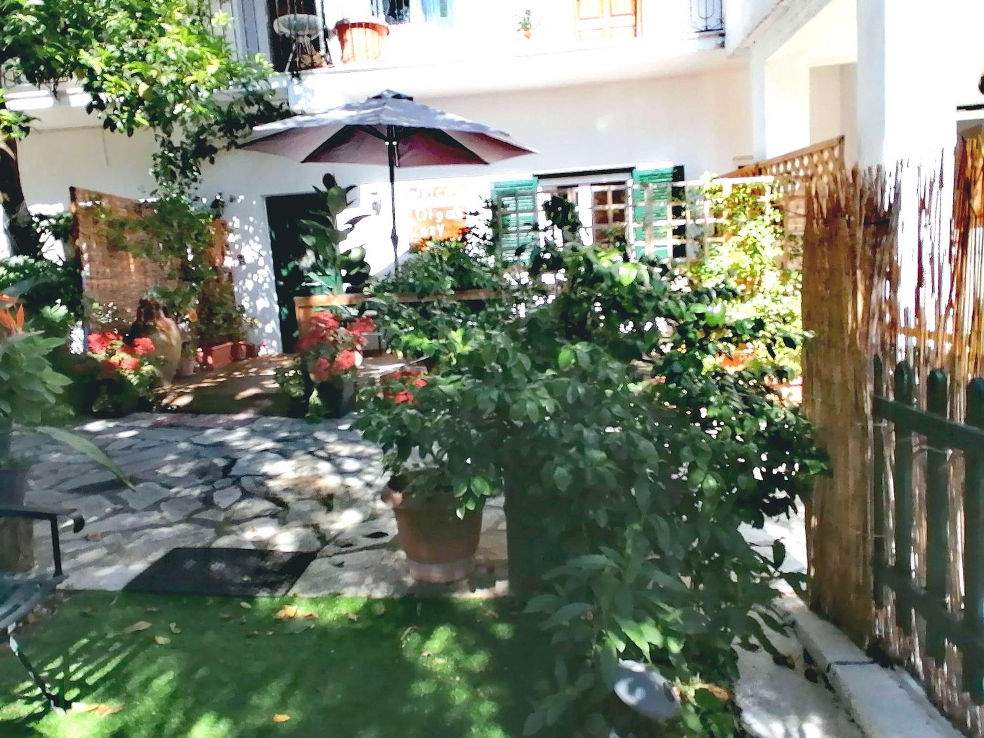 Olga'S Cozy Nest , Apartment In Ano Korakiana. Екстер'єр фото